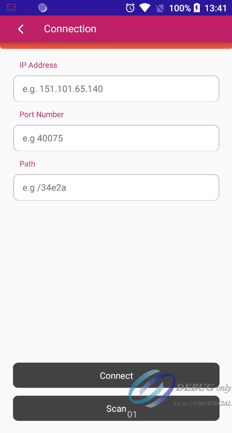 Image of the terminal app legacy connection Page.