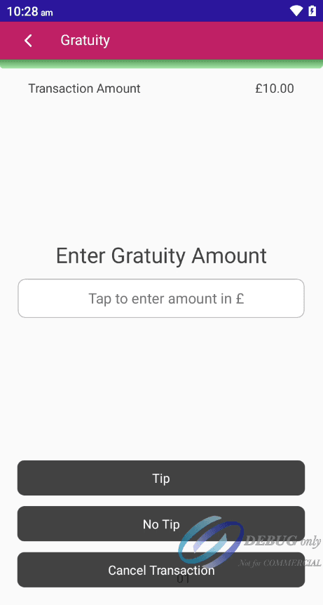 Image of the terminal app gratuity page.